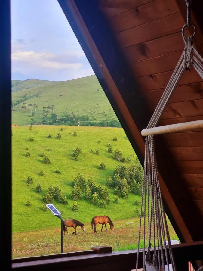 Brvnara Cigota Villa Zlatibor Exterior foto