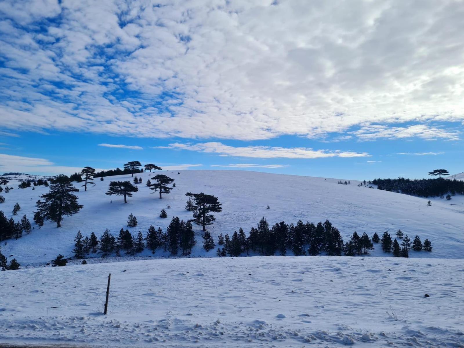 Brvnara Cigota Villa Zlatibor Exterior foto